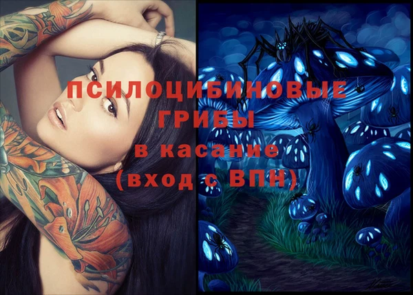 бутират Вяземский