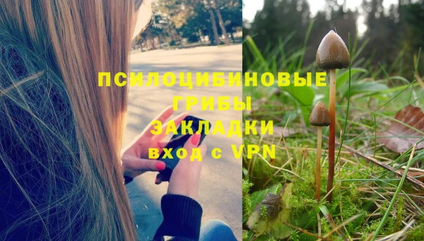 бутират Вяземский
