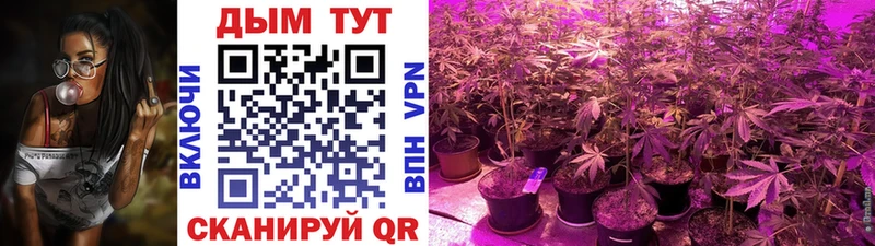 блэк спрут как зайти  Билибино  МАРИХУАНА Amnesia 